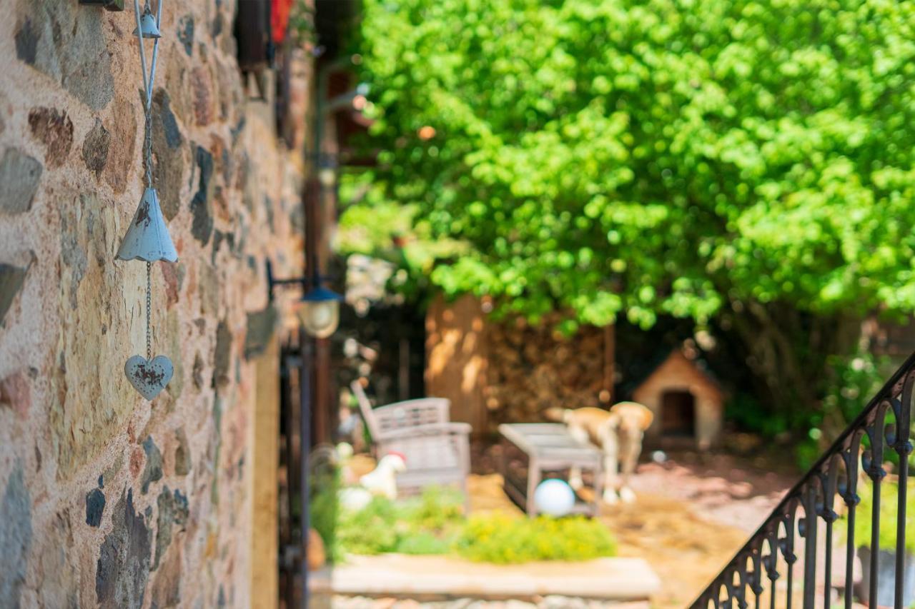 Bed & Breakfast Ce Petit Chemin