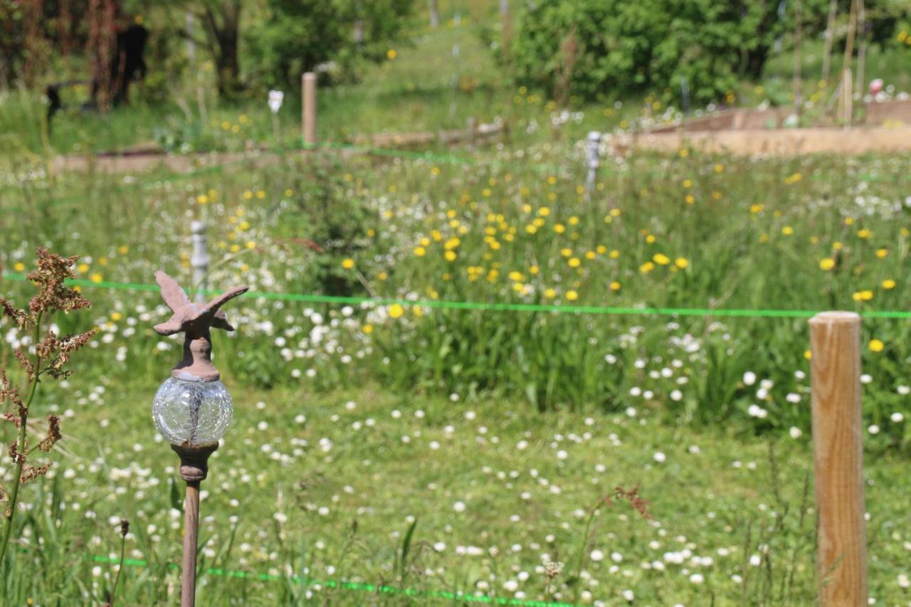 Frühstückspension Ce Petit Chemin