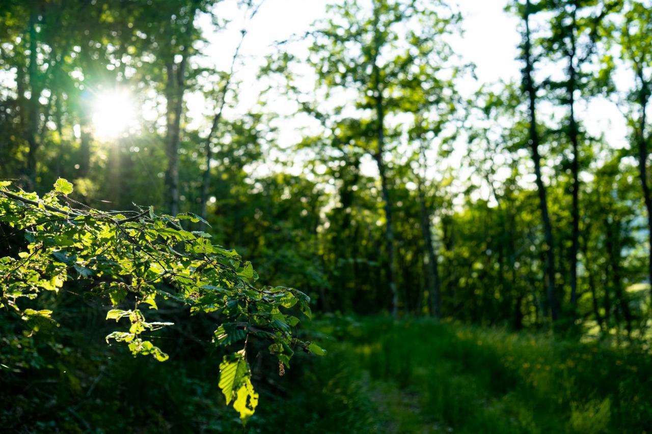 Frühstückspension Ce Petit Chemin Cenves